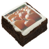 Pumpkins Photo for Fall, Halloween or Thanksgiving Brownie (Angled)