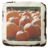 Pumpkins Photo for Fall, Halloween or Thanksgiving Brownie (Front)