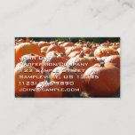 Pumpkins Photo for Fall, Halloween or Thanksgiving Business Card