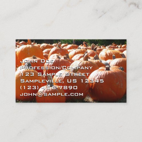Pumpkins Photo for Fall Halloween or Thanksgiving Business Card
