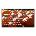 Pumpkins Photo for Fall, Halloween or Thanksgiving Business Card Magnet
