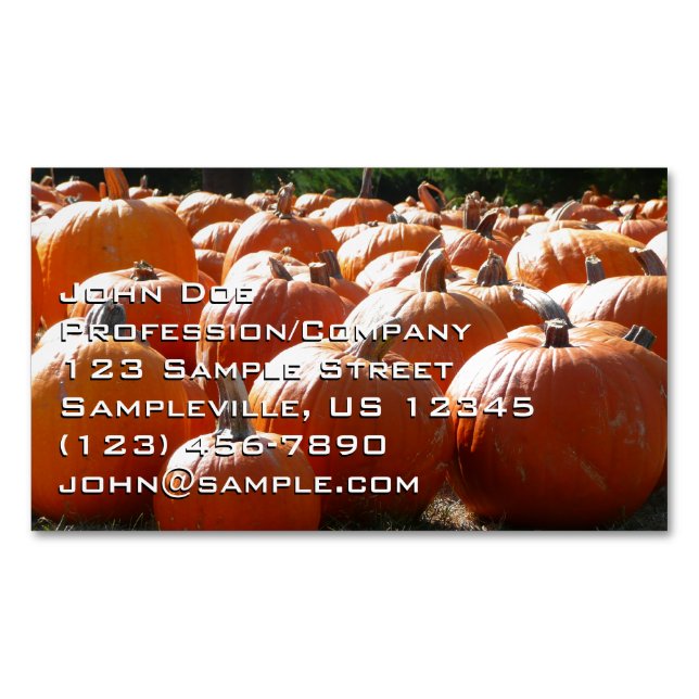 Pumpkins Photo for Fall, Halloween or Thanksgiving Business Card Magnet (Front)
