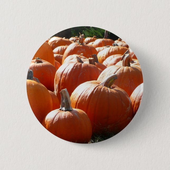 Pumpkins Photo for Fall, Halloween or Thanksgiving Button (Front)
