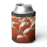 Pumpkins Photo for Fall, Halloween or Thanksgiving Can Cooler