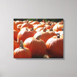 Pumpkins Photo for Fall, Halloween or Thanksgiving Canvas Print