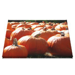 Pumpkins Photo for Fall, Halloween or Thanksgiving Canvas Print