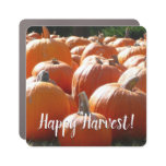 Pumpkins Photo for Fall, Halloween or Thanksgiving Car Magnet