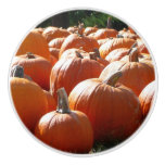 Pumpkins Photo for Fall, Halloween or Thanksgiving Ceramic Knob