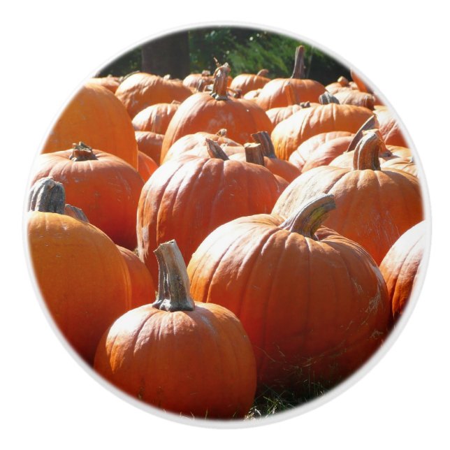 Pumpkins Photo for Fall, Halloween or Thanksgiving Ceramic Knob (Front)