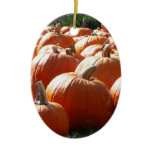 Pumpkins Photo for Fall, Halloween or Thanksgiving Ceramic Ornament
