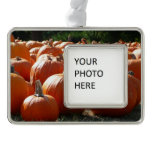 Pumpkins Photo for Fall, Halloween or Thanksgiving Christmas Ornament