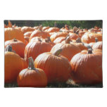 Pumpkins Photo for Fall, Halloween or Thanksgiving Cloth Placemat