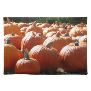 Pumpkins Photo for Fall, Halloween or Thanksgiving Cloth Placemat