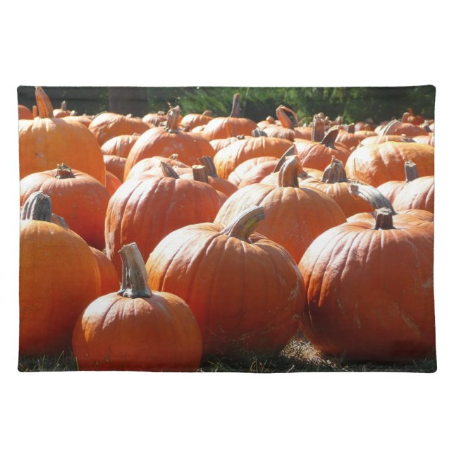 Pumpkins Photo for Fall, Halloween or Thanksgiving Cloth Placemat (Front)
