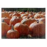 Pumpkins Photo for Fall, Halloween or Thanksgiving Cutting Board