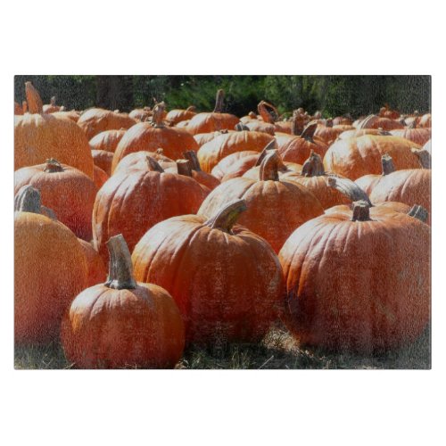 Pumpkins Photo for Fall Halloween or Thanksgiving Cutting Board
