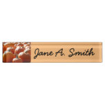 Pumpkins Photo for Fall, Halloween or Thanksgiving Desk Name Plate