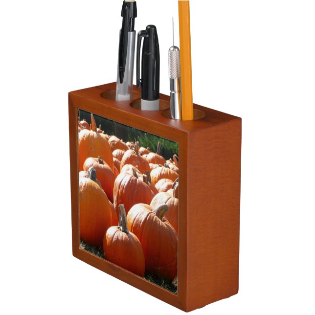 Pumpkins Photo for Fall, Halloween or Thanksgiving Desk Organizer (In Situ)