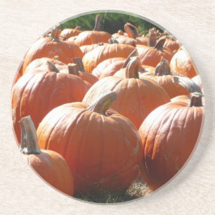 Pumpkins Photo for Fall, Halloween or Thanksgiving Drink Coaster