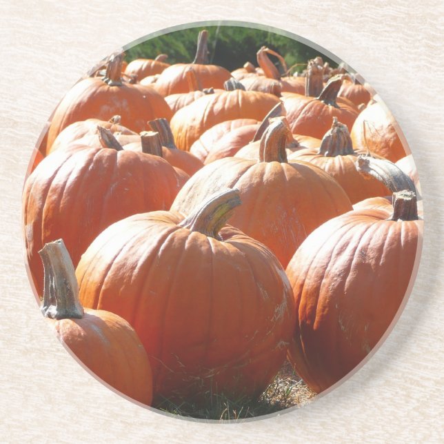 Pumpkins Photo for Fall, Halloween or Thanksgiving Drink Coaster (Front)