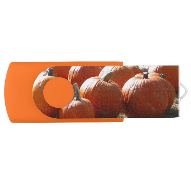 Pumpkins Photo for Fall, Halloween or Thanksgiving Flash Drive (Front)