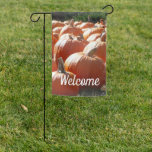 Pumpkins Photo for Fall, Halloween or Thanksgiving Garden Flag