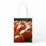 Pumpkins Photo for Fall, Halloween or Thanksgiving Grocery Bag