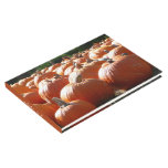 Pumpkins Photo for Fall, Halloween or Thanksgiving Guest Book