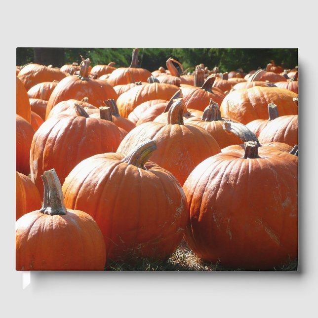 Pumpkins Photo for Fall, Halloween or Thanksgiving Guest Book (Front)
