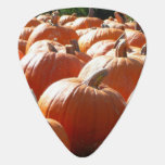 Pumpkins Photo for Fall, Halloween or Thanksgiving Guitar Pick