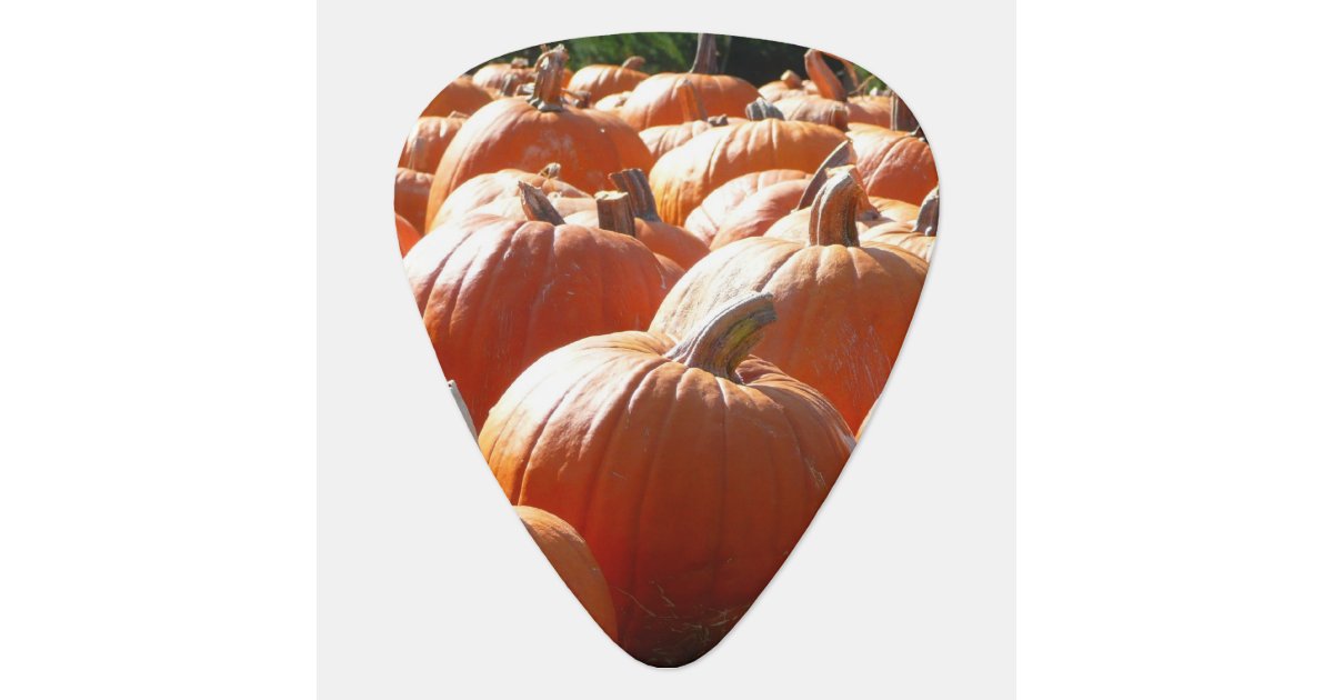 Pumpkins Photo for Fall, Halloween or Thanksgiving Guitar ...