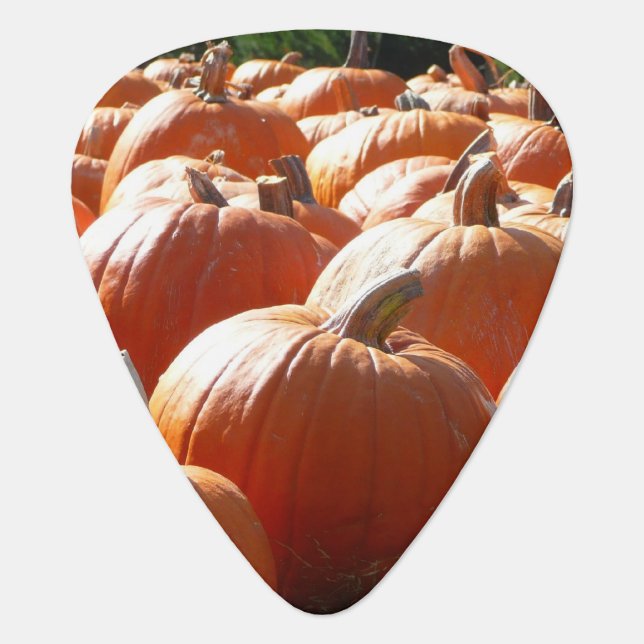 Pumpkins Photo for Fall, Halloween or Thanksgiving Guitar Pick (Front)