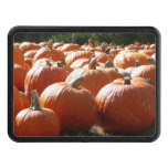 Pumpkins Photo for Fall, Halloween or Thanksgiving Hitch Cover