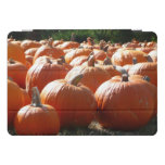 Pumpkins Photo for Fall, Halloween or Thanksgiving iPad Pro Cover