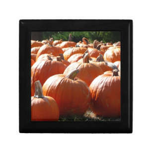 Pumpkins Photo for Fall, Halloween or Thanksgiving Jewelry Box