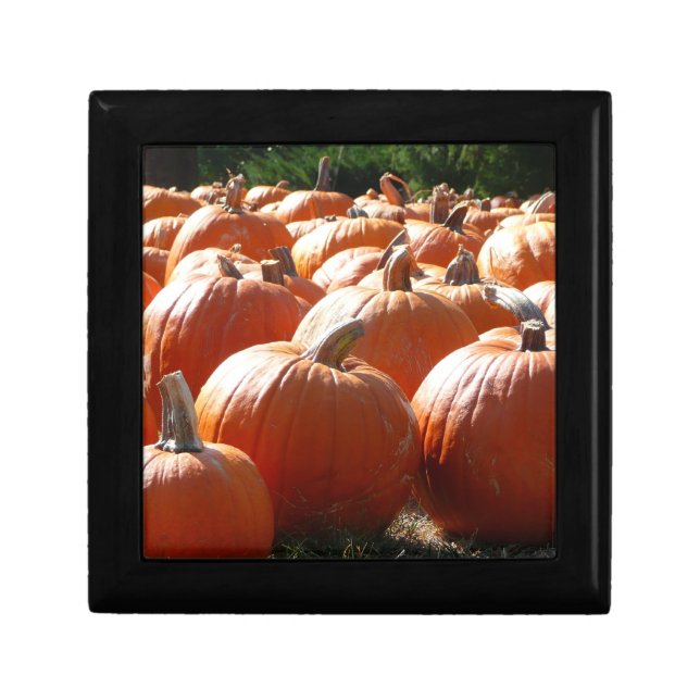 Pumpkins Photo for Fall, Halloween or Thanksgiving Jewelry Box (Front)