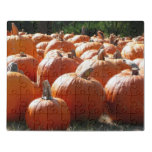 Pumpkins Photo for Fall, Halloween or Thanksgiving Jigsaw Puzzle