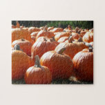 Pumpkins Photo for Fall, Halloween or Thanksgiving Jigsaw Puzzle