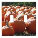Pumpkins Photo for Fall, Halloween or Thanksgiving Light Switch Cover