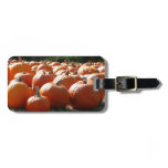 Pumpkins Photo for Fall, Halloween or Thanksgiving Luggage Tag
