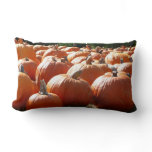 Pumpkins Photo for Fall, Halloween or Thanksgiving Lumbar Pillow