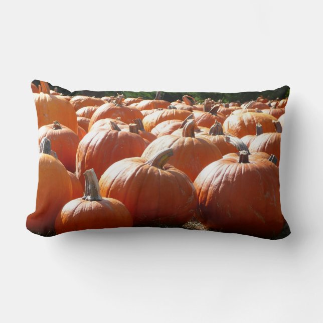 Pumpkins Photo for Fall, Halloween or Thanksgiving Lumbar Pillow (Front)