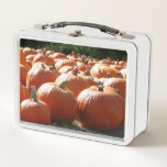 Pumpkins Photo for Fall, Halloween or Thanksgiving Metal Lunch Box