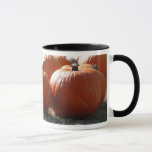 Pumpkins Photo for Fall, Halloween or Thanksgiving Mug