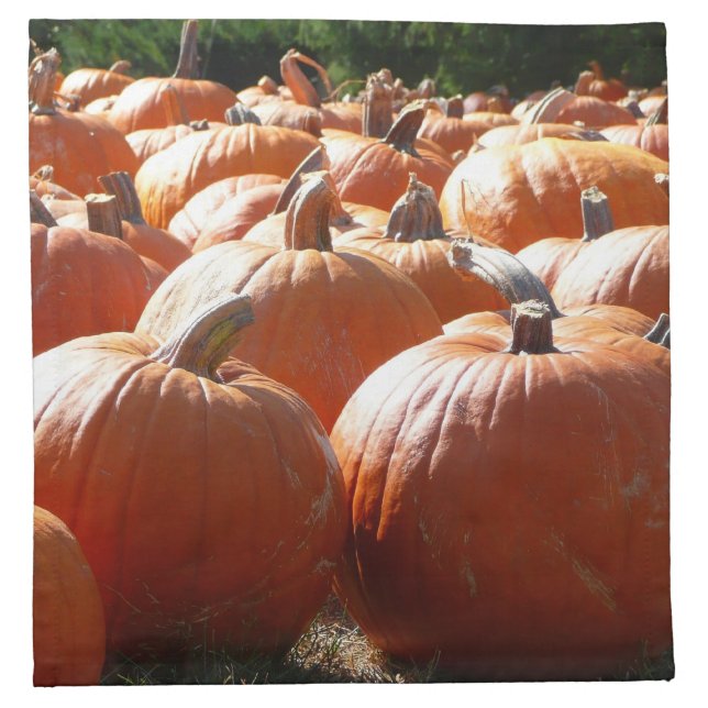 Pumpkins Photo for Fall, Halloween or Thanksgiving Napkin (Front)