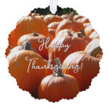 Pumpkins Photo for Fall, Halloween or Thanksgiving Ornament Card