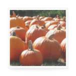 Pumpkins Photo for Fall, Halloween or Thanksgiving Paper Napkins