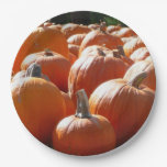 Pumpkins Photo for Fall, Halloween or Thanksgiving Paper Plates