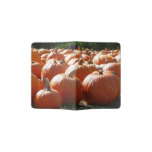 Pumpkins Photo for Fall, Halloween or Thanksgiving Passport Holder
