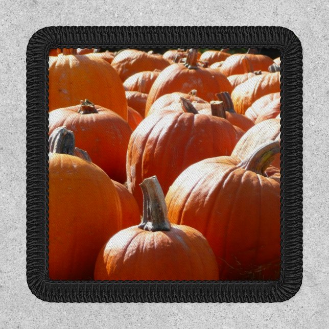 Pumpkins Photo for Fall, Halloween or Thanksgiving Patch (Front)